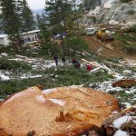Antalya'da mermer ocağı için ağaç katliamı
