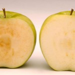 ABD'den genetiği değiştirilmiş elmaya onay