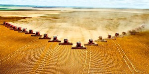 Endüstriyel Tarımın Bir Başka Biçimi: ‘Sertifikalı Organik Tarım’ - 2    / Adnan Çobanoğlu
