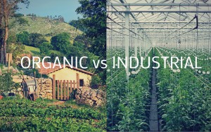 Endüstriyel Tarımın Bir Başka Biçimi:“Sertifikalı Organik Tarım.”  / Adnan ÇOBANOĞLU