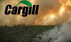 Bursa Valiliği Yasaya Karşı Geliyor, Cargill'i Kapatmıyor