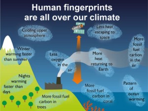 IPCC Raporu insan etkisi konusunda nasıl bu kadar kesin konuşabiliyor?