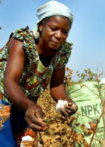 AB çiftçisine destek Afrika’da tarımı boğuyor    