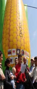GDO'lu Mısır Balonu Türkiye Turuna Bursa'dan Başladı