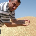 Konya'da spekülatörler 300 bin ton buğdayı stokladı