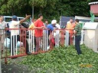 Subaşılı çay üreticileri, çaylarını fabrika önüne döktü      