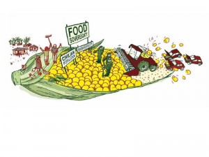 Dalgalanan G20'den halkların gıda egemenliğine.../Tarık Nejat Dinç