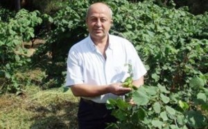 GZO Başkanı Akbaşlı: Çiftçi Elindeki Fındığı 8 Liradan Aşağı Satmayı Düşünmüyor