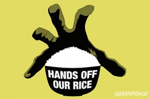  Pirincin genetiğiyle oynayan Bayer çiftçiye 750 milyon $ ödeyecek