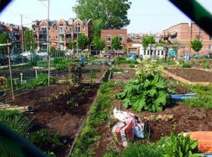 Kent bahçeciliği hayat kurtarıyor