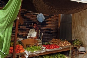 Mısır hem GDO’yla, hem de gıda fakirliğiyle savaşıyor