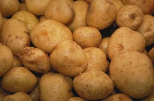 Sözleşmeli çiftçilere şirketin verdiği patateste virüs