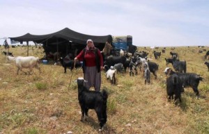 BÜKOOP ve Çiftçi-Sen 18 Temmuz'da Kadıköy Yoğurtçu Parkı'nda 