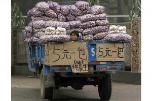Üretici Çin sarımsağından şikayetçi