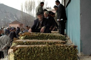 Bitlisliler tütün ekiminden vazgeçmiyorlar