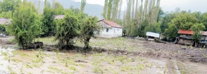 Aşırı yağışlar tarımı vurdu