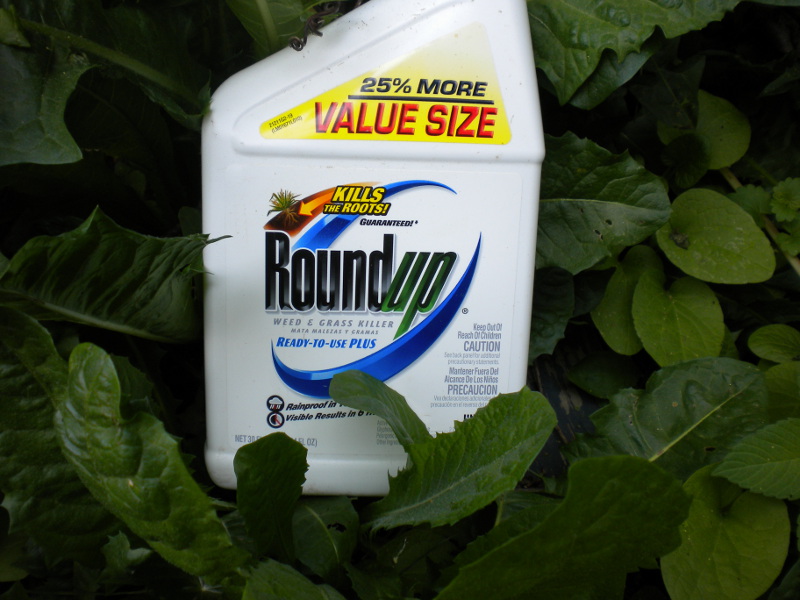 Roundup’a kesin çözüm agroekoloji / Özge Güneş