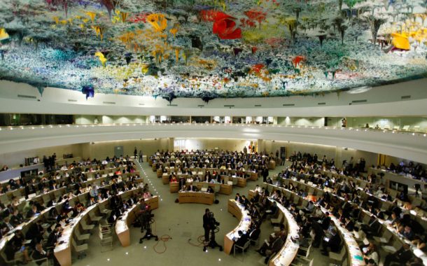 Köylü Hakları BM'de