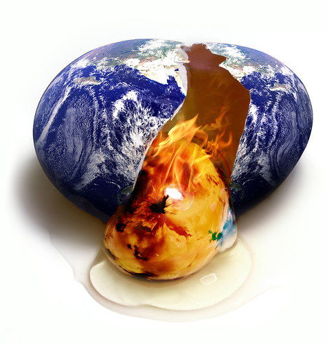 İklim: Gerçek Problem, Yanlış Çözümler 3: REDD+