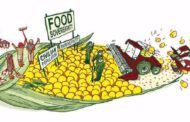 Kentsel Gıda Krizinin Temelleri: Gıda Hakkı ve Kentte Örgütlenme II – Umut Kocagöz