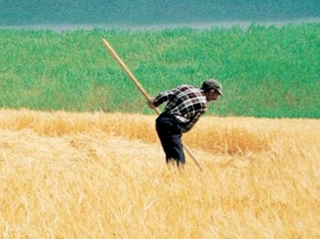 Tarım- ÜFE Ocak ayında %9,51 arttı