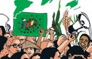 Dünyayı besleyen yüz milyonlarca çiftçinin küresel hareketi La Via Campesina ne için mücadele ediyor?