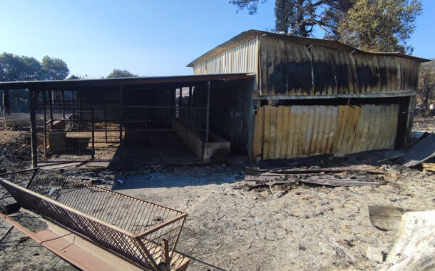 Yangından etkilenen köye komşu köyden saman desteği