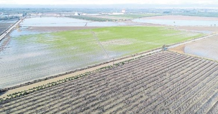 Adana’da tarım arazileri sular altında kaldı